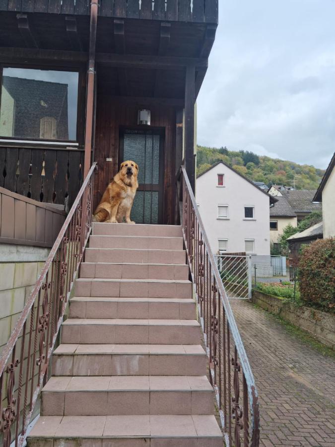 Main Zu Hause Villa Eichenbuhl  Exterior photo